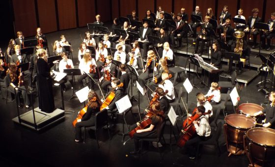 Fidalgo Youth Symphony Season Finale